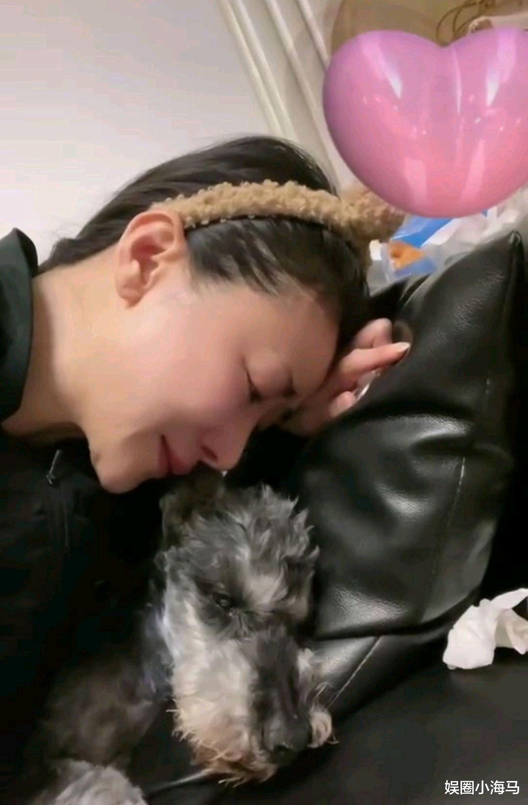 陈紫函|陈紫函痛哭流涕,只因宠物狗病危!直言来世想让宠物狗做她宝宝