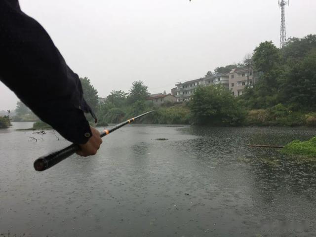 饵料|只钓2小时就能顶别人半天的鱼获!野钓务必选对合适的出钓时间