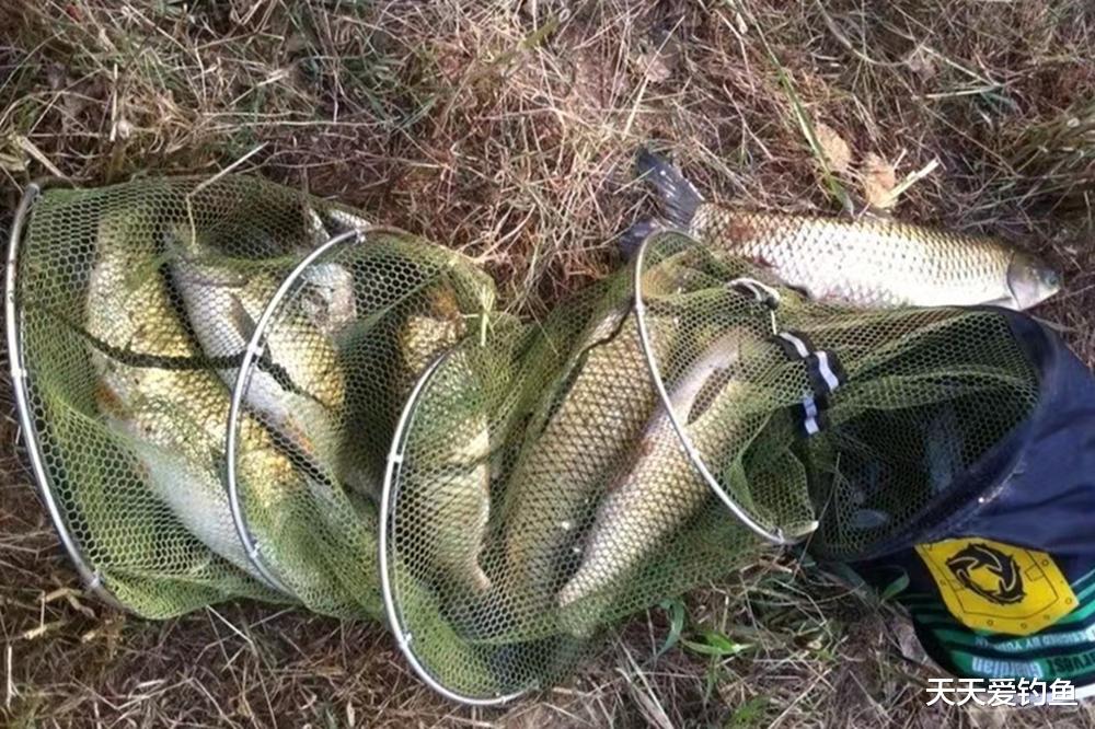 钓鱼|夏季野钓,选钓位的2大方向,大鱼基本躲这里