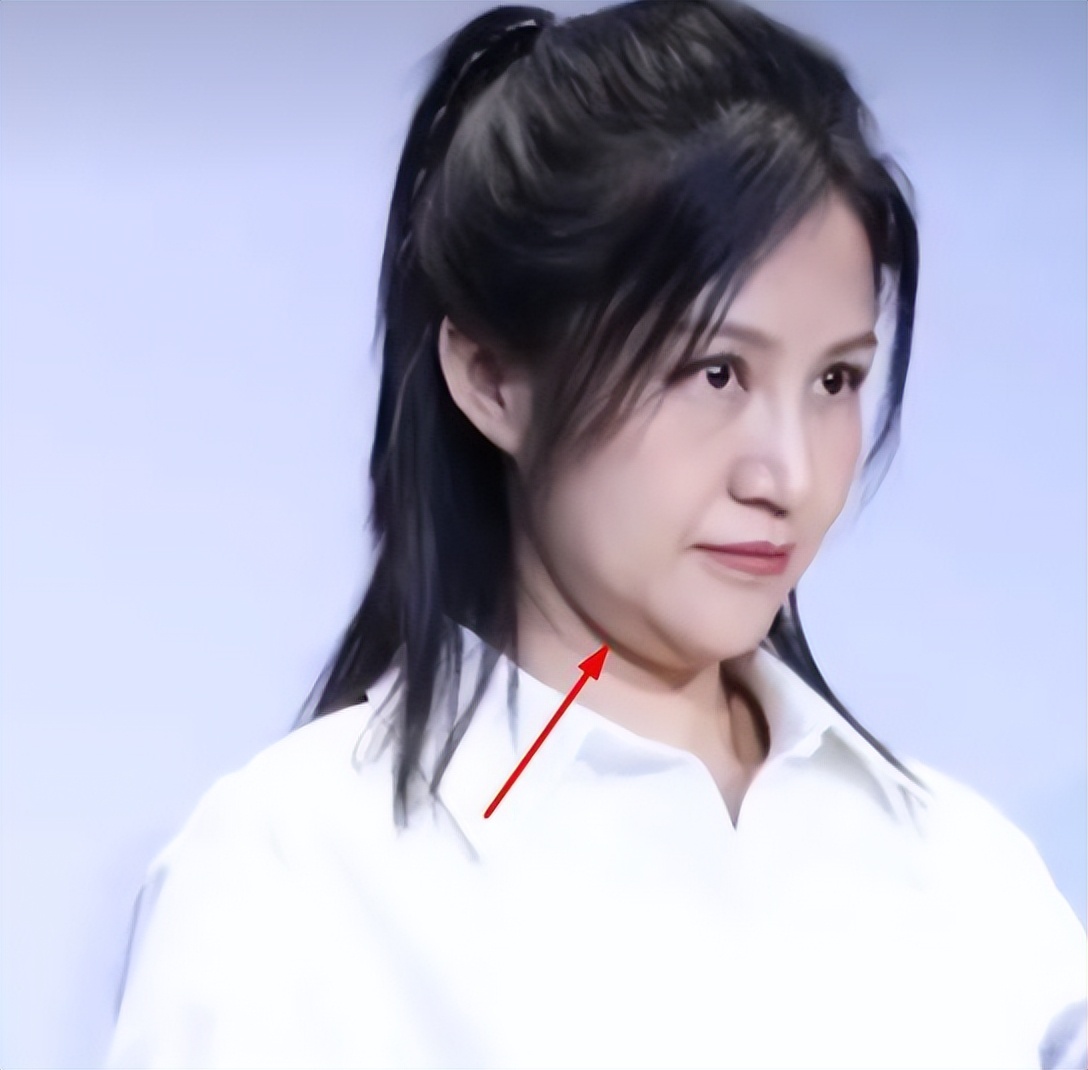 陆毅鲍蕾参加活动，夫妻俩大变样，生图认不出，胖的像怀了二胎