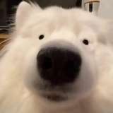 飞眼历史视角