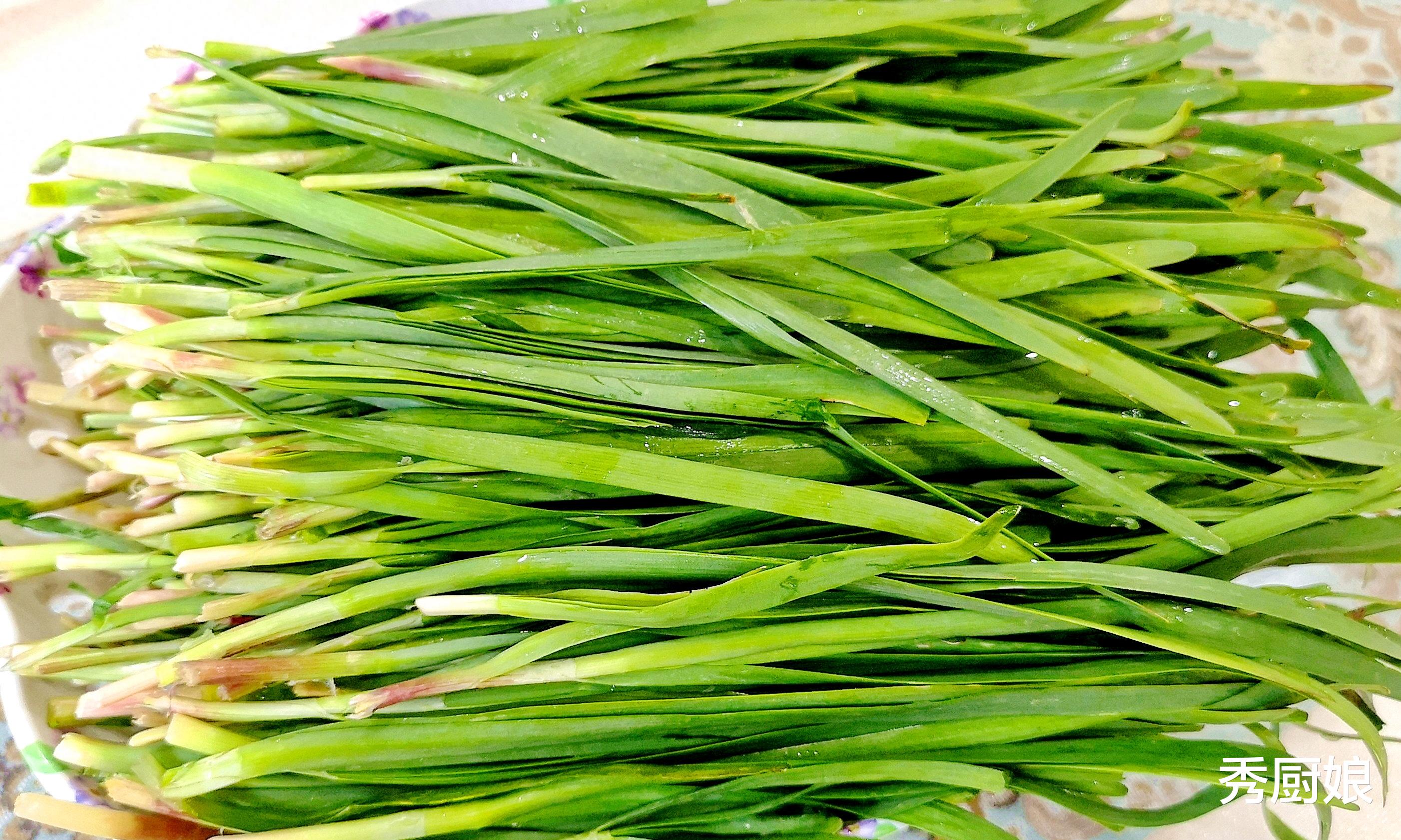 韭菜|爱吃韭菜的要留意,切记别和这3种食物一起吃,看完叮嘱家人朋友