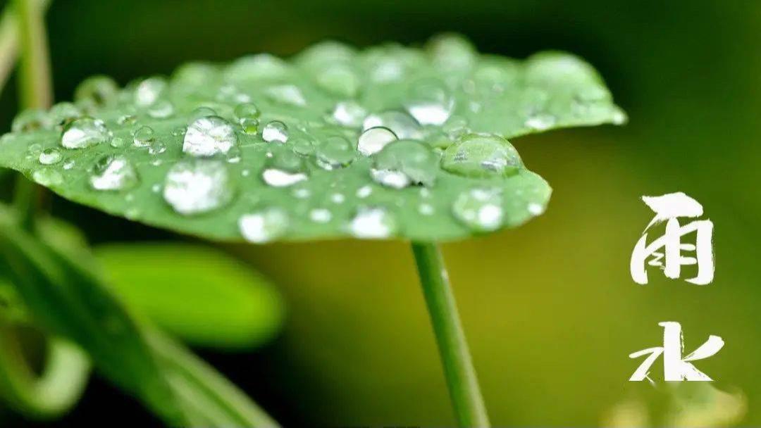 南瓜|明日进雨水，牢记：1不穿，2要早，吃3样，忌2事，早春时节要重视