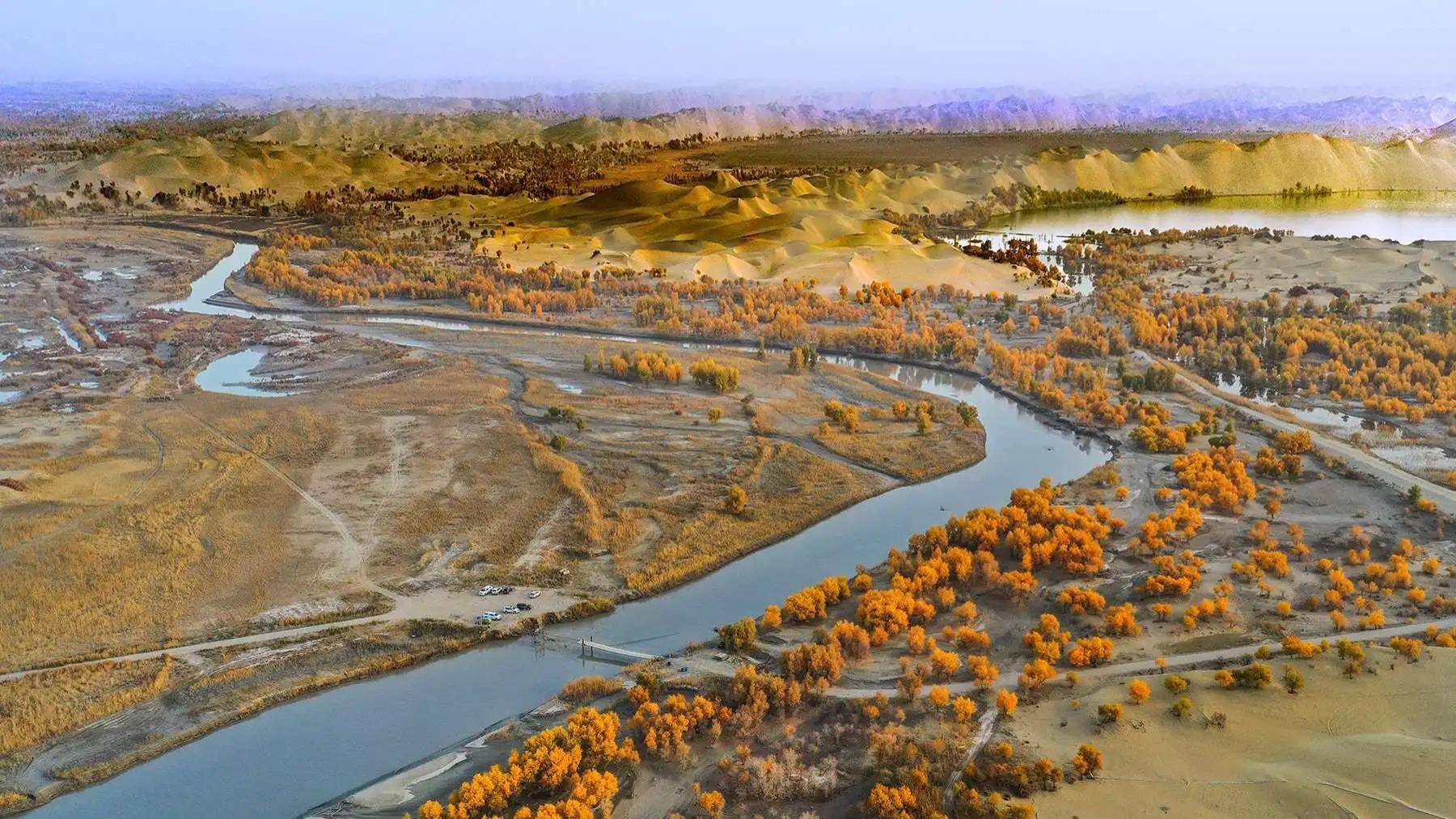 塔里木河|塔里木河：中国最长内陆河滋养2000多万亩耕地，如今为何已不堪重负