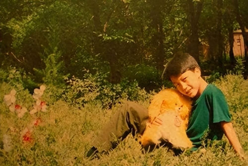 “跳梁小丑”李玉刚跌落神坛！不再被世界宽恕，梅葆玖：死都不原谅