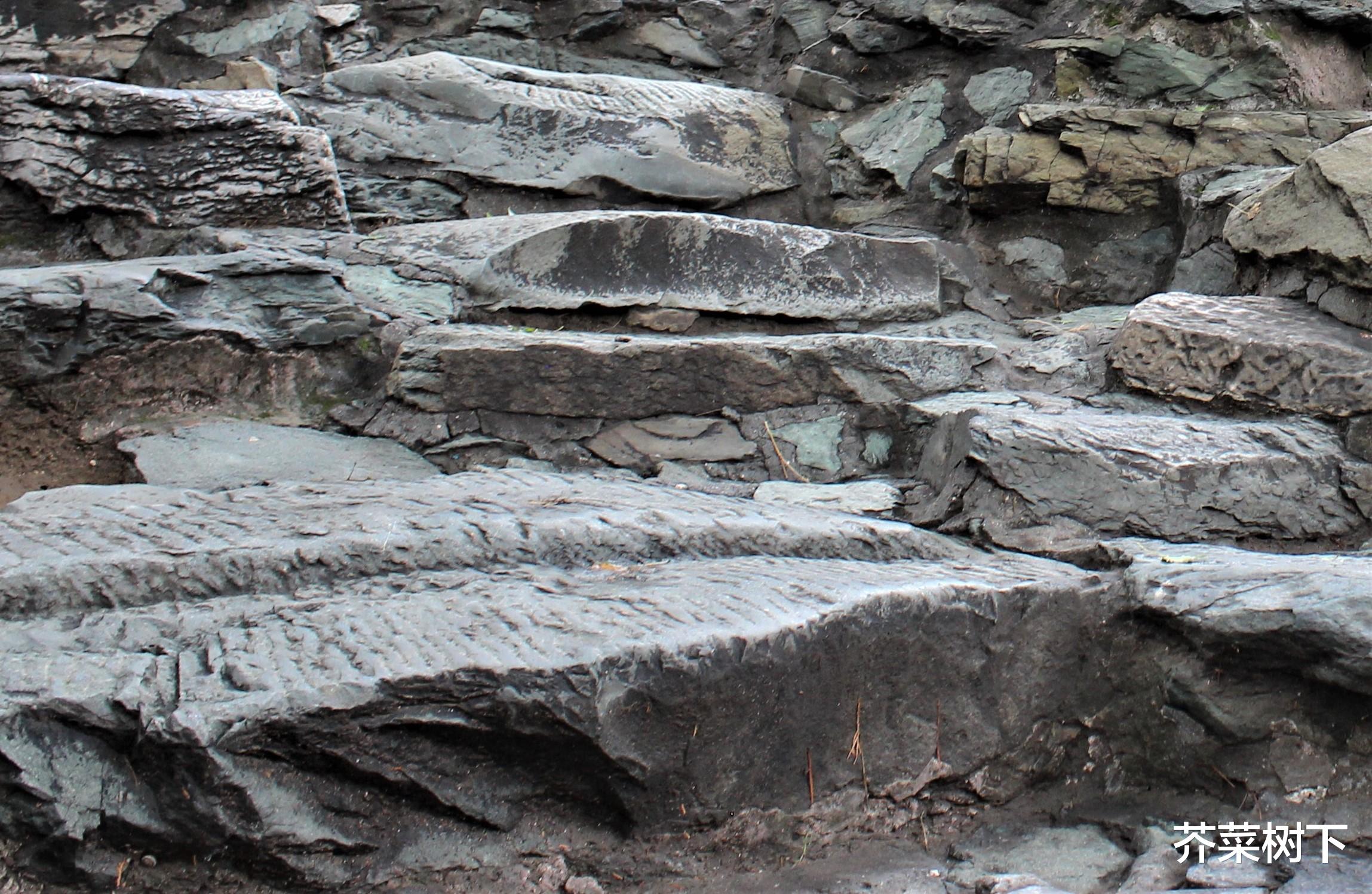 |社交多层次,看见新可能