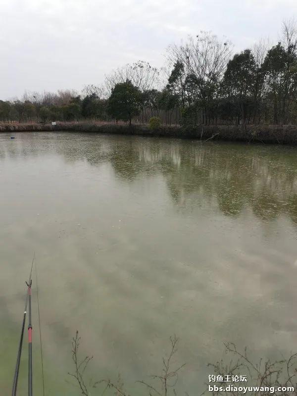 |初五第一钓,青稍连杆上