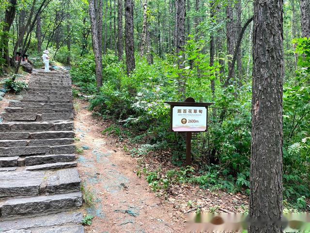 百花山|十五公里八个多小时，从门头沟到房山徒步穿越百花山