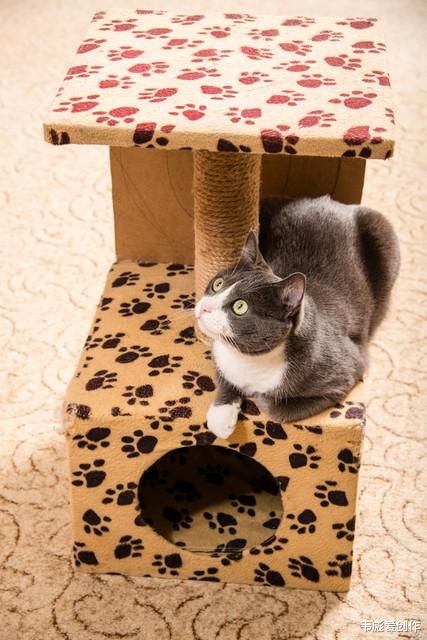 2024年，若开公司做什么行业更容易赚钱呢？