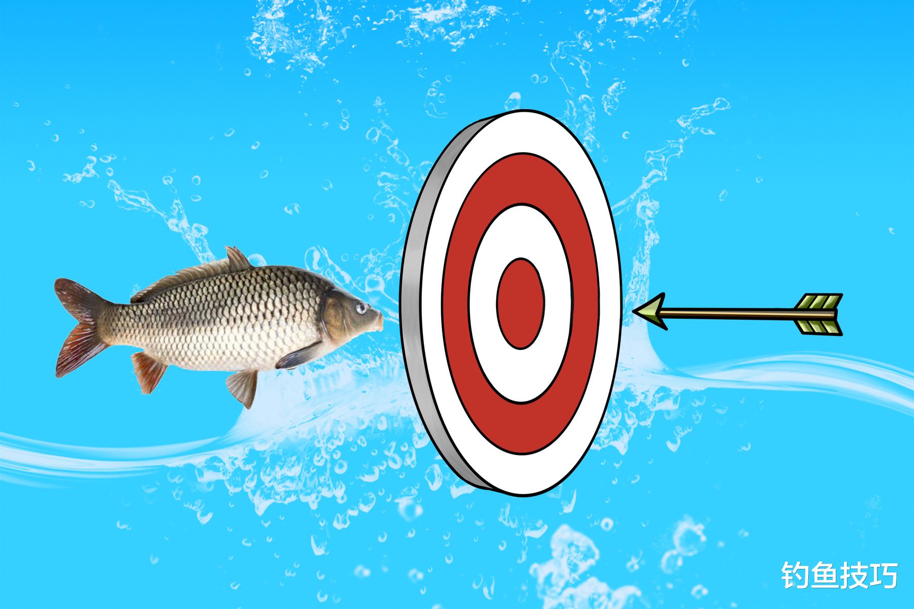 夜钓|哪种钓鱼小药最好用?用好钓鱼小药的4个秘诀