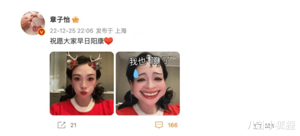 章子怡|章子怡全家三亚聚餐，汪峰当甩手掌柜，章子怡独自照顾儿子吃饭