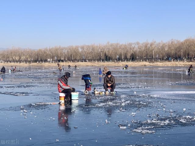 饵料|冰天雪地里穿短袖钓鱼?冬季北方钓大棚全攻略,抢鱼真过瘾!