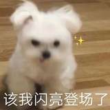 蛇皮果聊美食