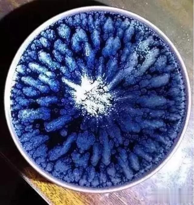 艺术品|易盏堂:入窑一色,出窑万彩,详解建盏的釉色