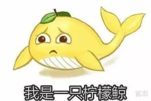 |玩梗玩的到底是什么