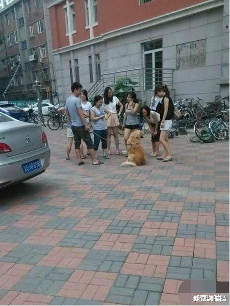 |“我老婆很像范冰冰,你们是不是嫉妒了?”评论区精彩了!