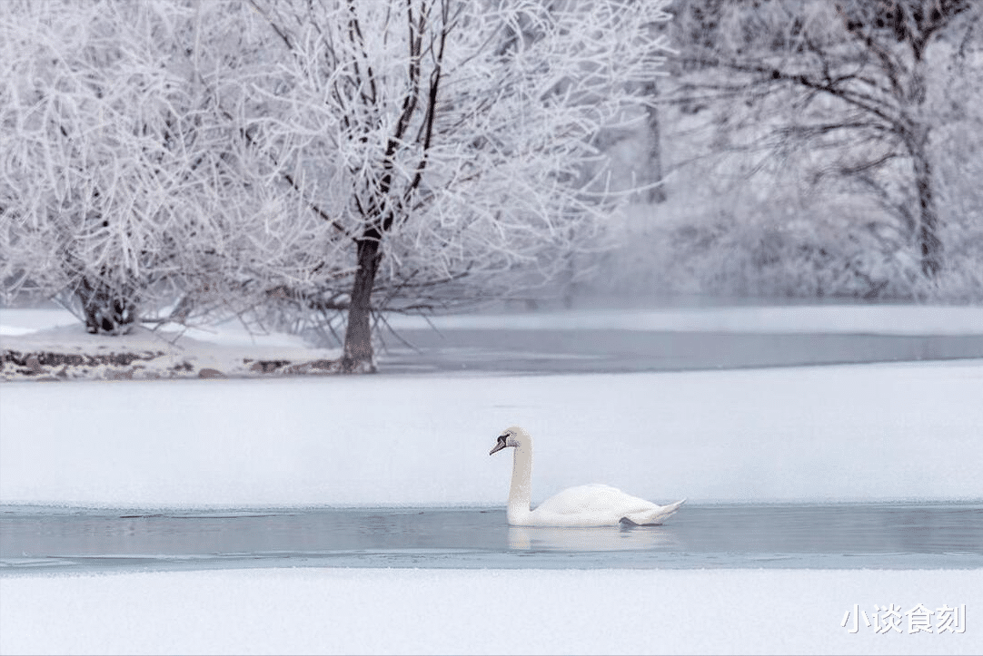 |“大雪现三象,坟头遍地起”,明日大雪,哪3象?遇见要早做准备