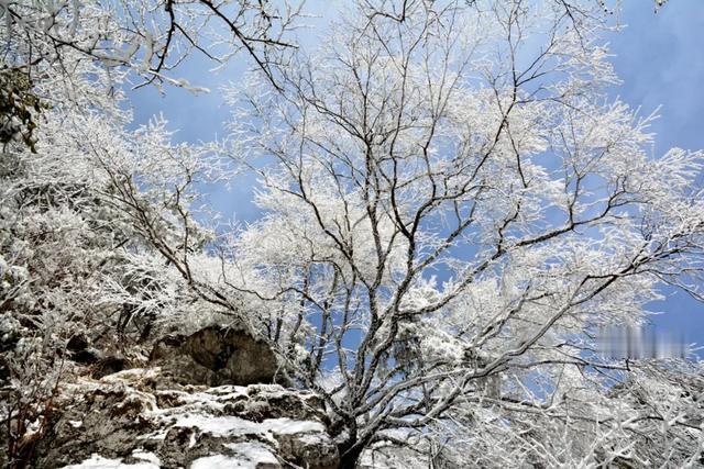 成都|紫柏山不闭园！下雪的留坝，怎么看都不腻