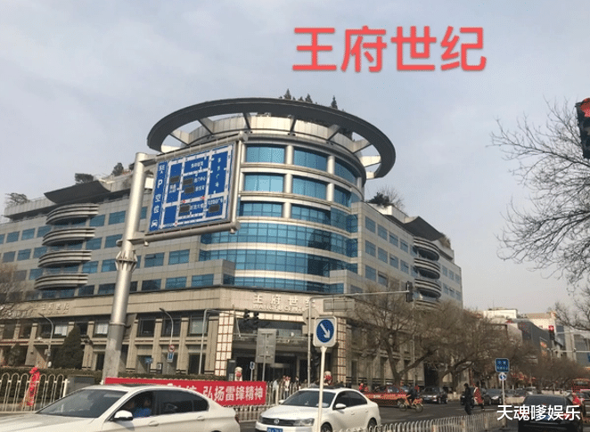 50岁王艳晒16秒视频引争议，手拿莲华神情抑郁，直言不要轻易结婚