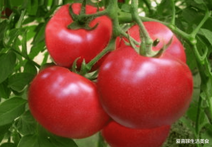 立夏|明日立夏，记得吃“立夏4宝”，立夏的规矩要懂，顺应时节，平安入夏