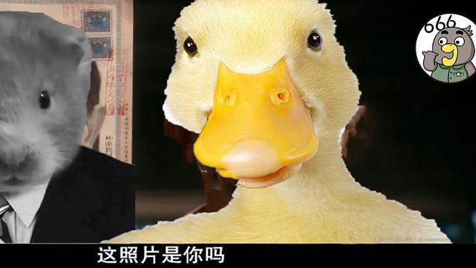 黄瓜|鸭脖就是鼠头，鼠头就是鸭脖，蒸馍，你不扶器？