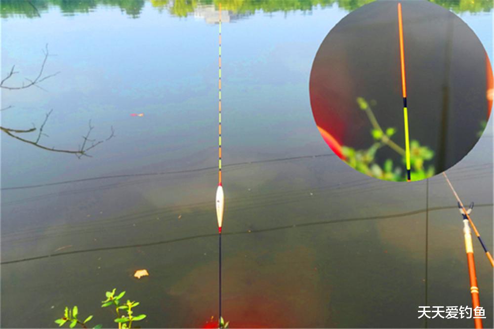 |夏季野钓，选漂和调漂经验，这是爆护的基础