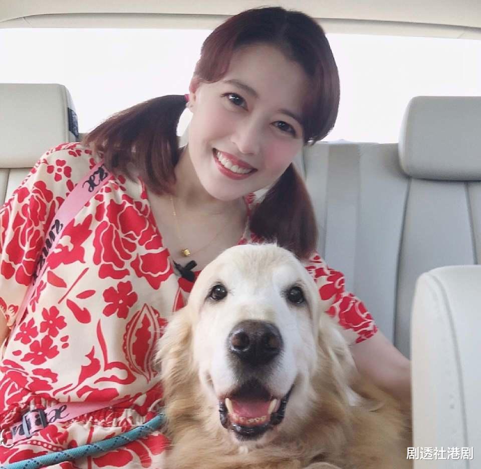 落叶归根！曝周海媚骨灰将运回香港安葬，爱犬将继续伴随回港生活