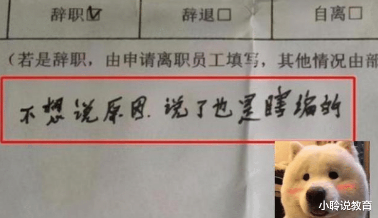 00后|00后“低情商”辞职信走红,一点体面都不留,过来人看完直呼过瘾