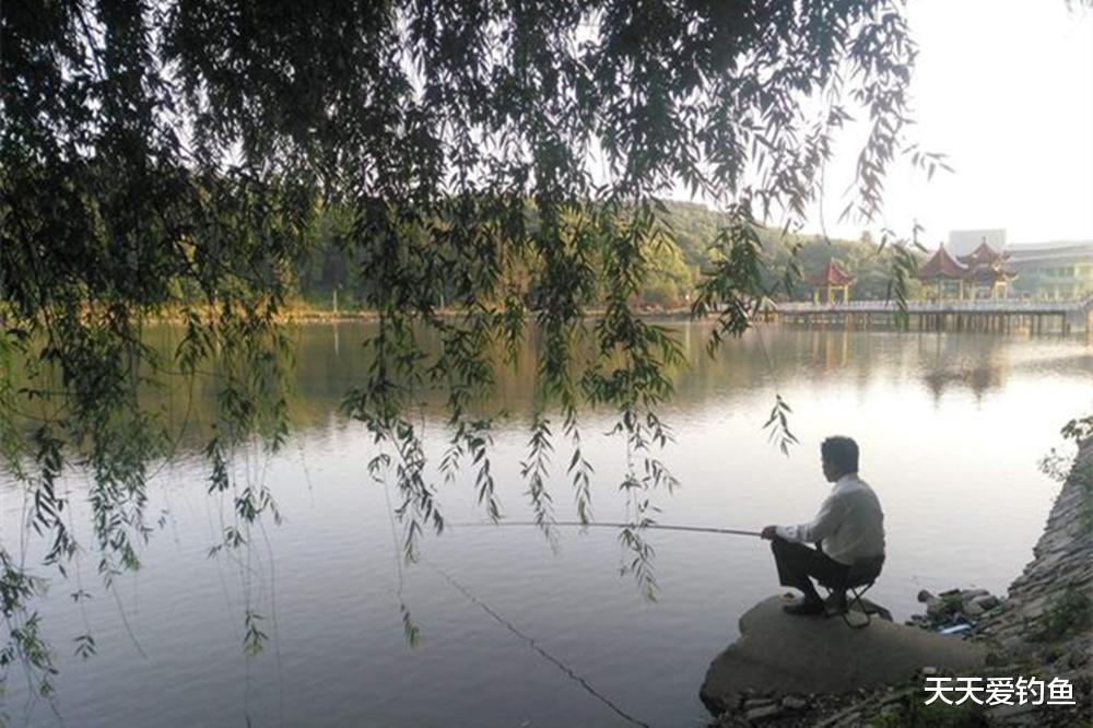 秋季野钓，找鱼窝的3个思路，选对钓位想不爆护都难