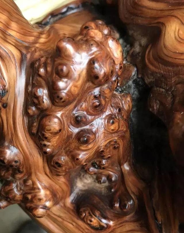 枯木逢春之崖柏陈化瘤打磨全过程