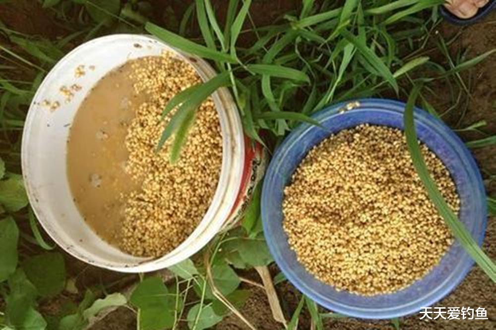 盛夏野钓江河，常用3大连竿策略，想空军都难