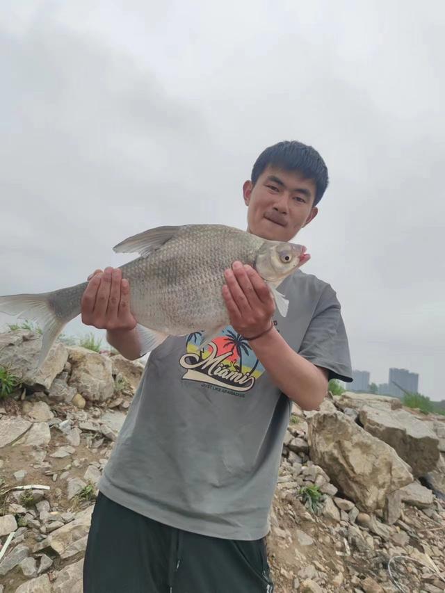 |初夏野钓鳊鱼攻略,混合窝行程跨水层,你渔获是最多