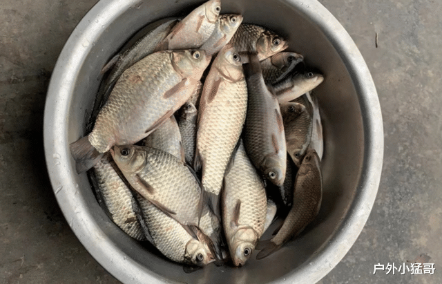 冬季钓鱼，有这些情况别再钓了！