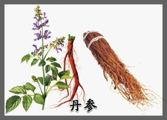 治痛风的断根怪方