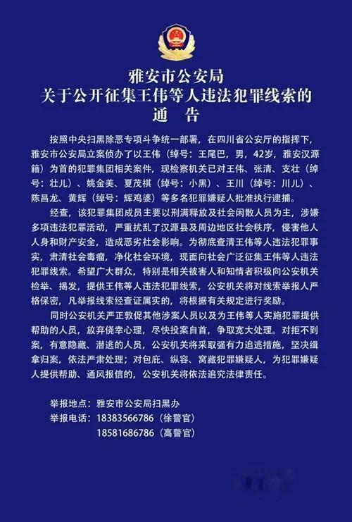黑老大王伟(人称:王老砍、砍王),犯案40多起,祸害雅安十余年