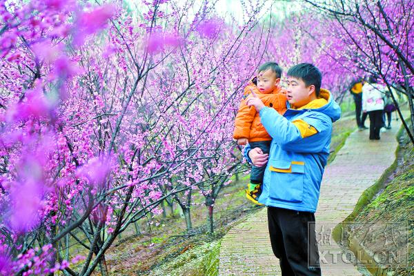 乡村旅游|湘潭县梅林桥村以梅花节为载体带动乡村旅游