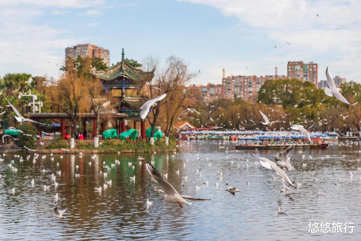 钦州|去有风的地方过暖冬，春节可去的7个温暖城市