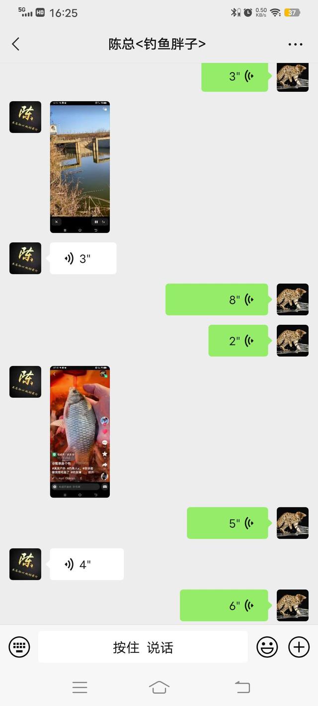 鲫鱼|阳光正正好，钓鱼再出发！