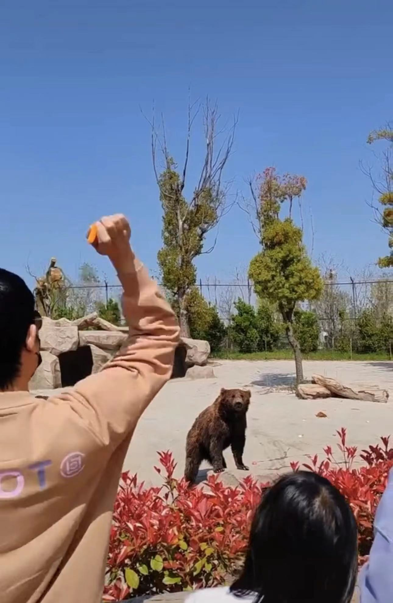 陆毅|陆毅一家游动物园,住3000一晚虎景酒店,贝儿近一米八颜值惊艳