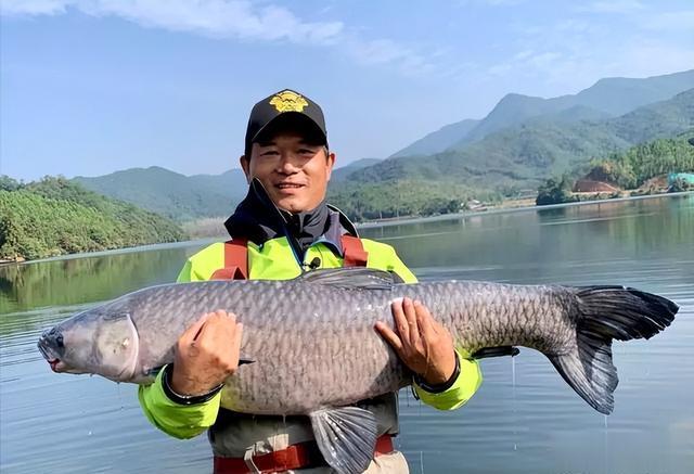 李大毛|因“盘老板”而出圈的邓刚,进入低迷期,泰国之旅能否再续辉煌?