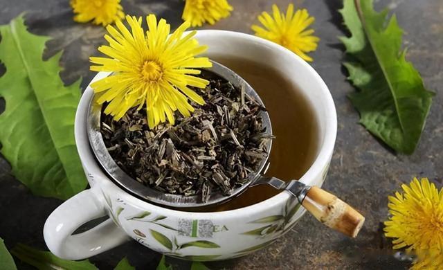 蒲公英全身都是宝,这样搭配,清热解毒,滋补肝肾!