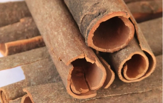 |“桂皮”是什么树的皮?这树被剥皮了以后还能活吗?