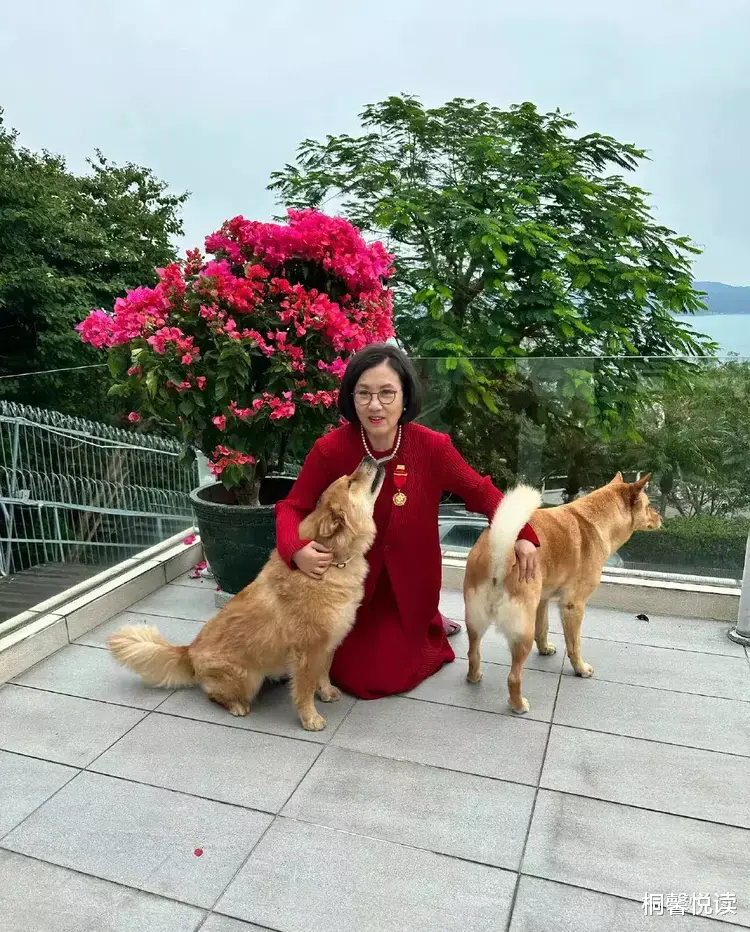 汪明荃|汪明荃:精神出问题了?自曝所有财产都留给两条宠物狗,引热议!