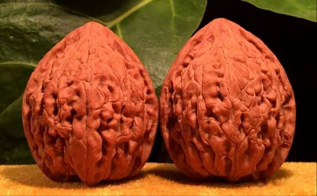 珐琅彩|150种文玩核桃品种分享之103:鸭嘴兽