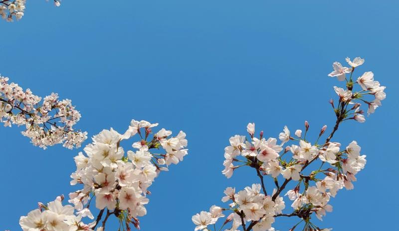 动力|工资不高且每天通勤超过4小时,问:坚持上班的动力到底是什么?