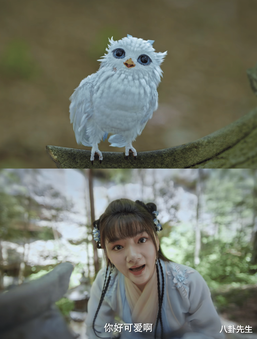 肖战新剧女主颜值低,被吐槽像王祖蓝和孙楠,女二号轻松艳压