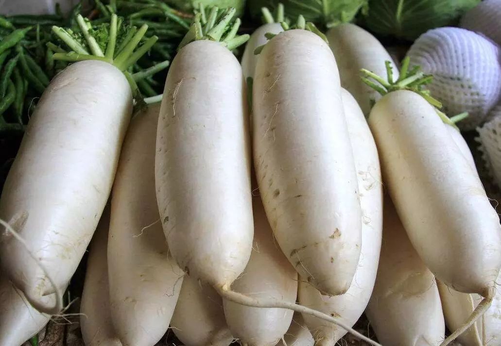 青萝卜|现在才懂，“白萝卜”和“青萝卜”的区别很大，大多数人都买错了