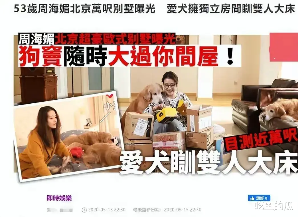 周海媚让人同情的原因:丁克没人养老,老年没伴,房子大没人气