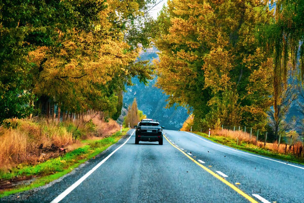 非线性成长|《非线性成长》,如何提升你的职场“抗风险能力”(三)
