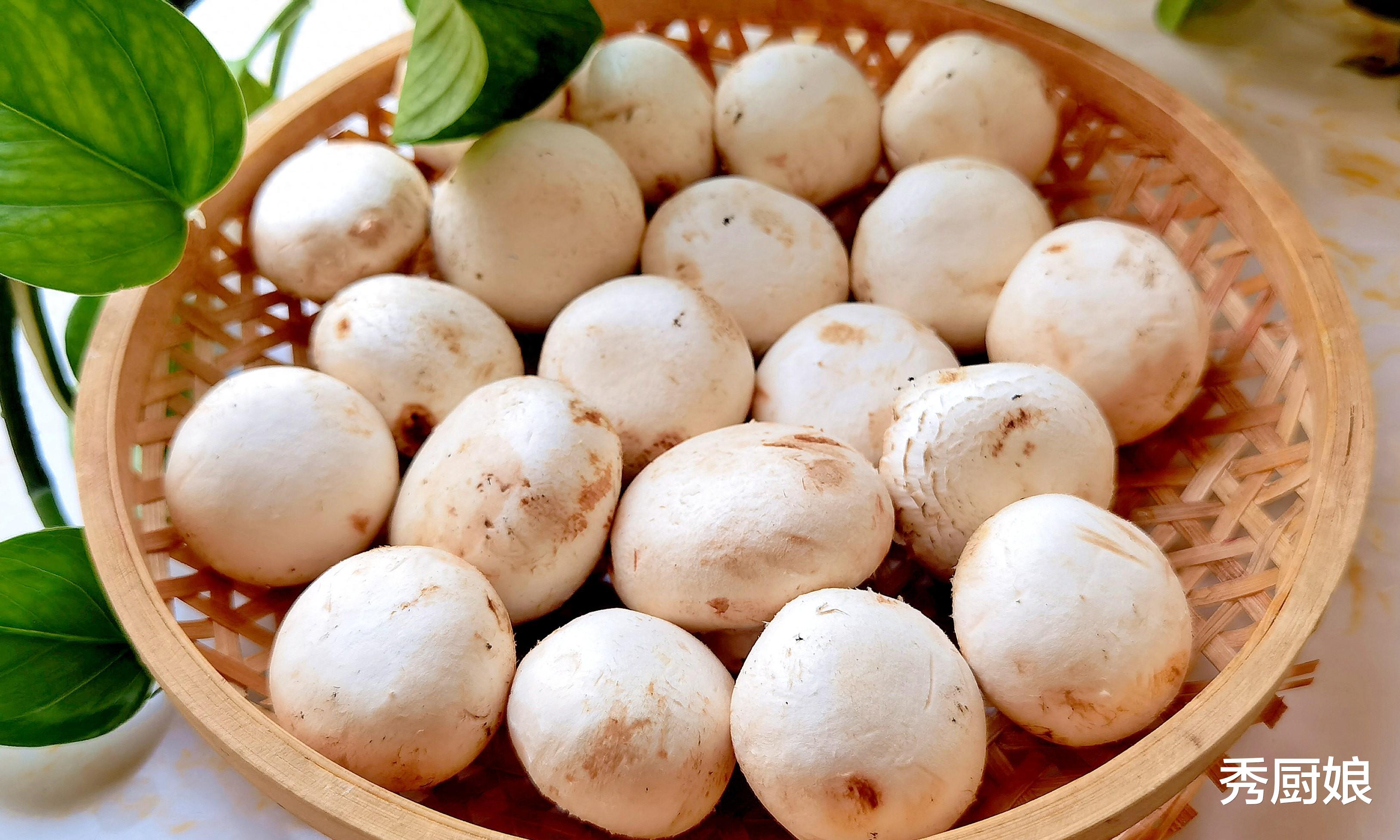 中老年人|“秋补钾，身不乏”，中老年多吃4菜，解除乏力，腿脚有劲精神好